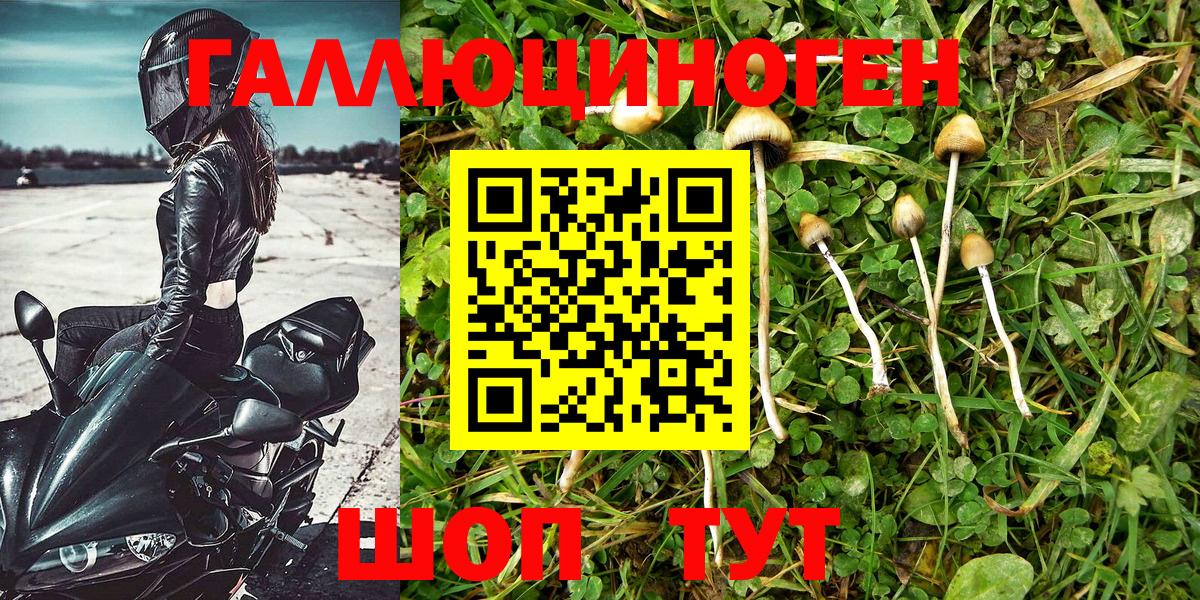 Галлюциногенные грибы Magic Shrooms  Галлюциногенные грибы Magic Shrooms  Искитим  Вход с VPN 