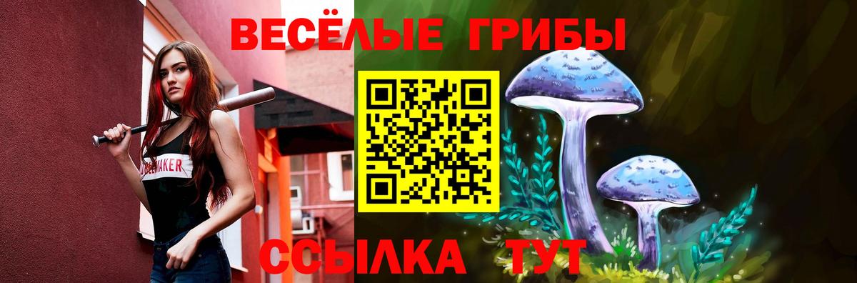 A PVP Искитим